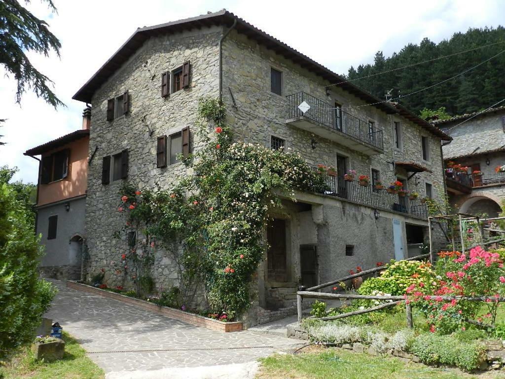 B&B Il Casale Delle Pianacce Castiglione di Garfagnana Zewnętrze zdjęcie