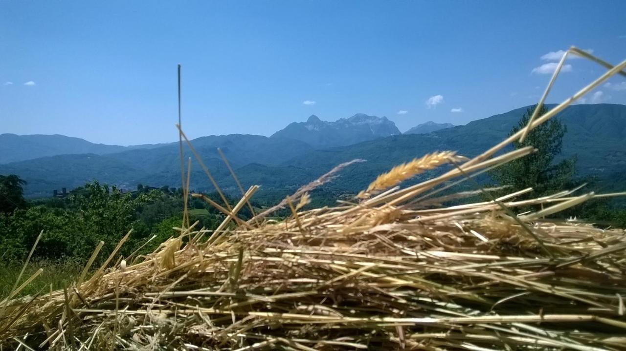 B&B Il Casale Delle Pianacce Castiglione di Garfagnana Zewnętrze zdjęcie